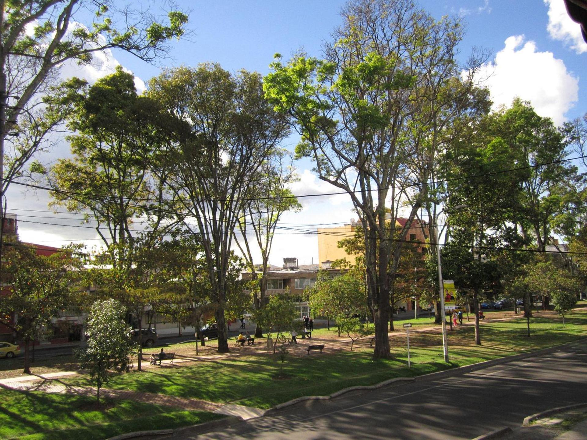 El De Mario * Bogota