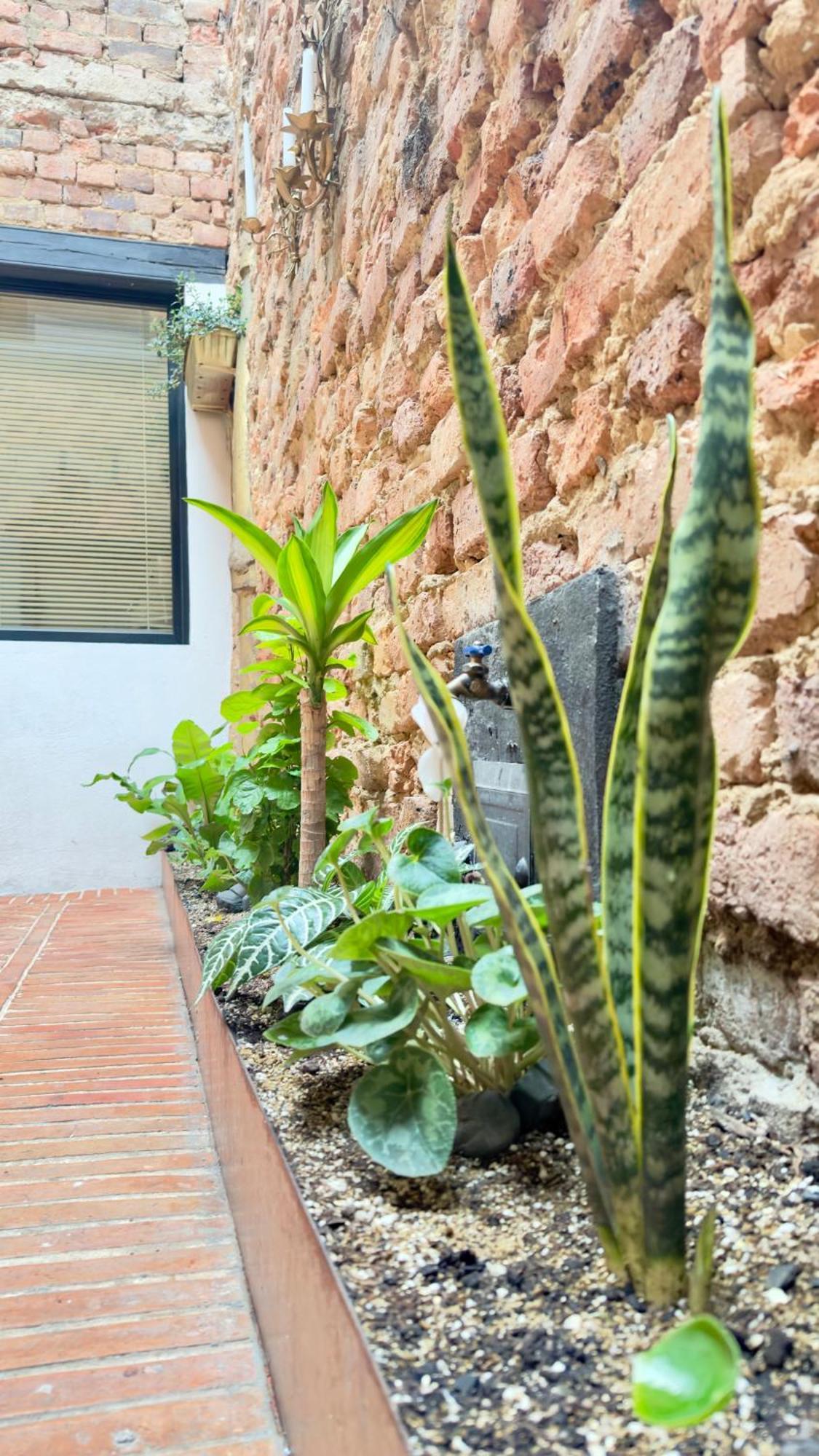 Bed & Breakfast Aguas Bogota