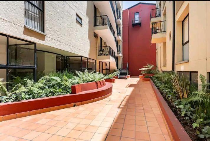 Hermoso En El Centro Historico Apartment