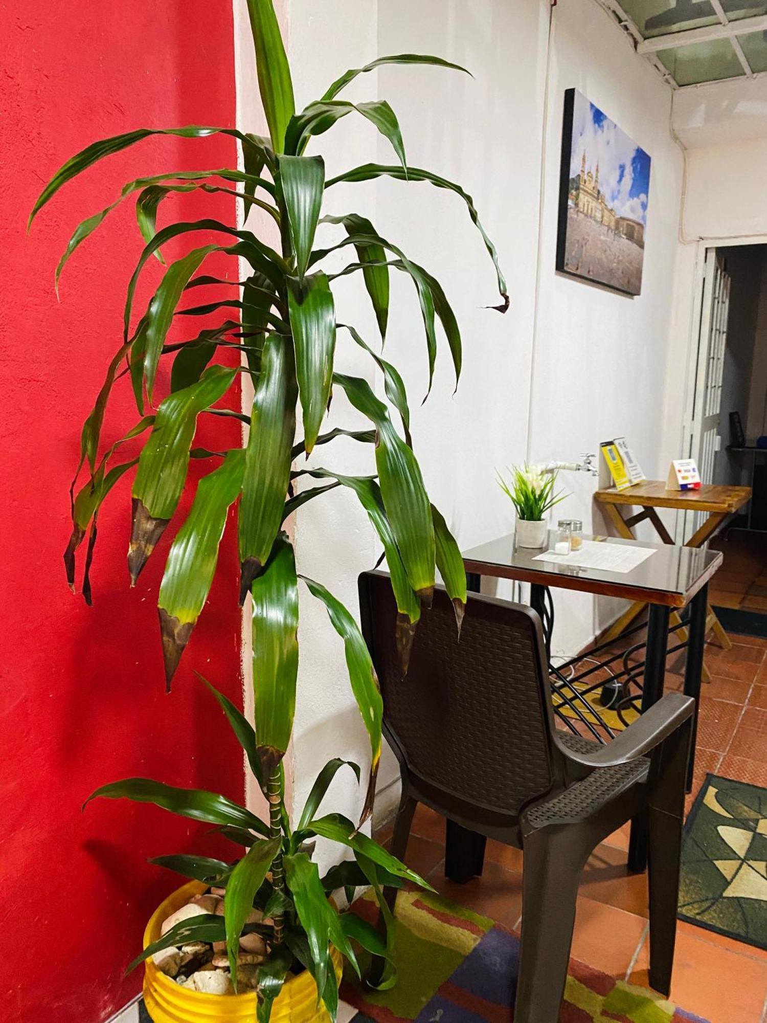 Guest house Kings 101 *