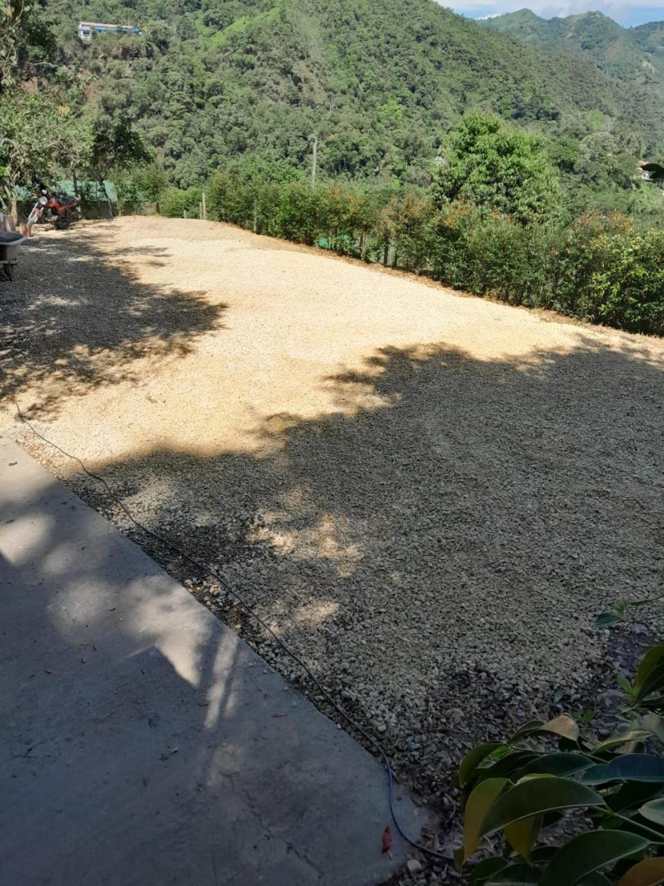 Amari Garzas Bogota