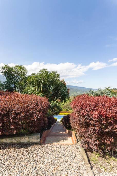 Villa Casa Campestre Clima Caliente - Agroturismo