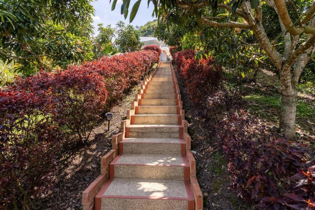 Villa Casa Campestre Clima Caliente - Agroturismo *