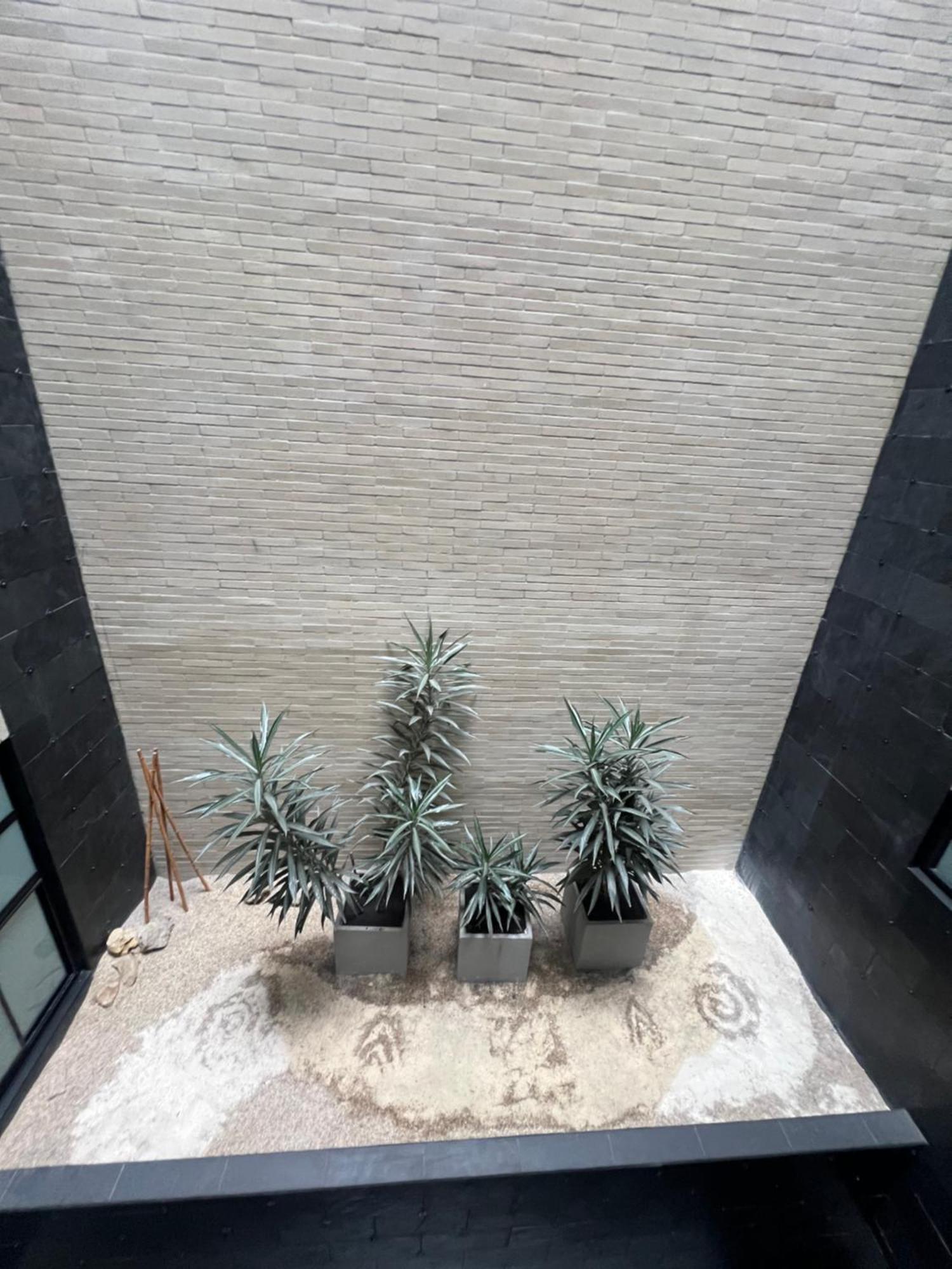 Apartment Terra 116 *