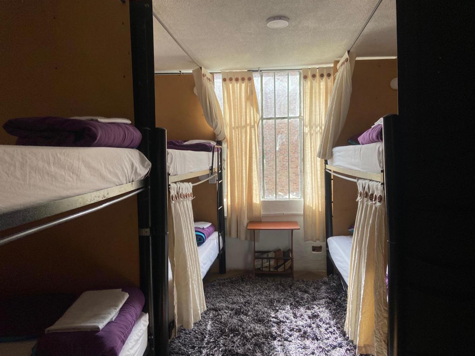 Hostel Backpackers - La Terraza