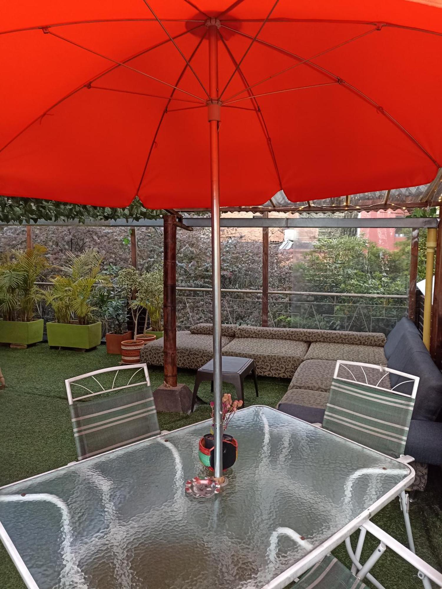 Hostel Backpackers - La Terraza