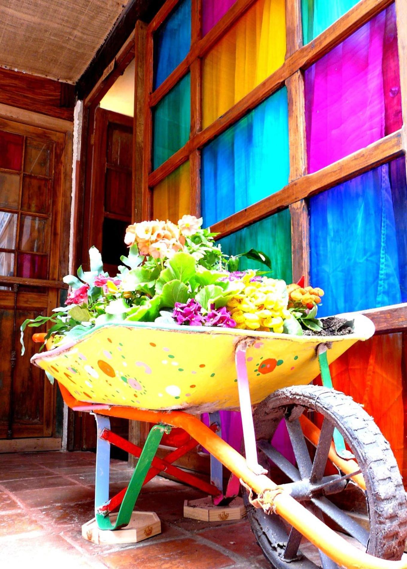 Lima Limon Candelaria Albergue Bogotá