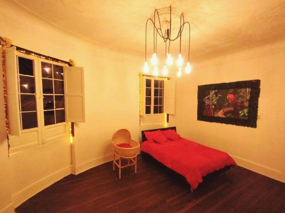 Apartamento The Corner - Magic Starts Here In Downtown! *