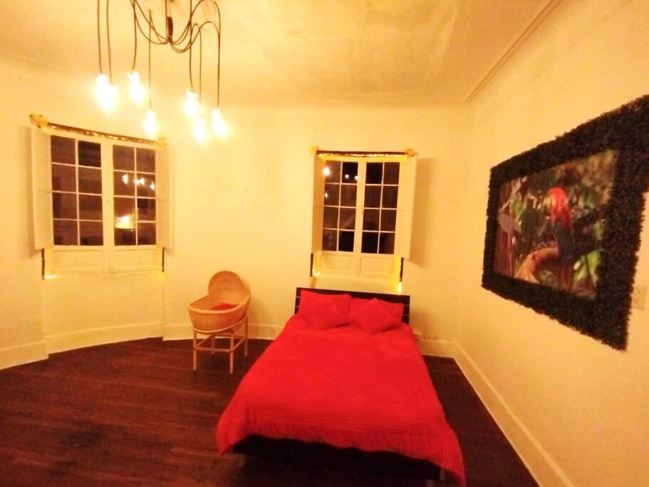 Apartamento The Corner - Magic Starts Here In Downtown! *