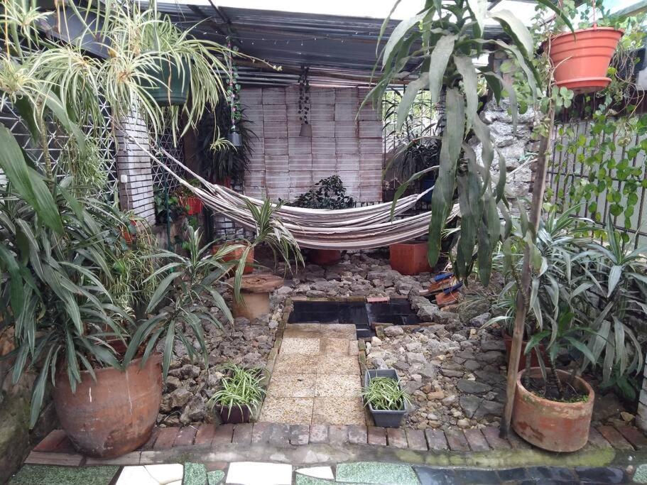 Casa Viva Terraza Ii Bogotá