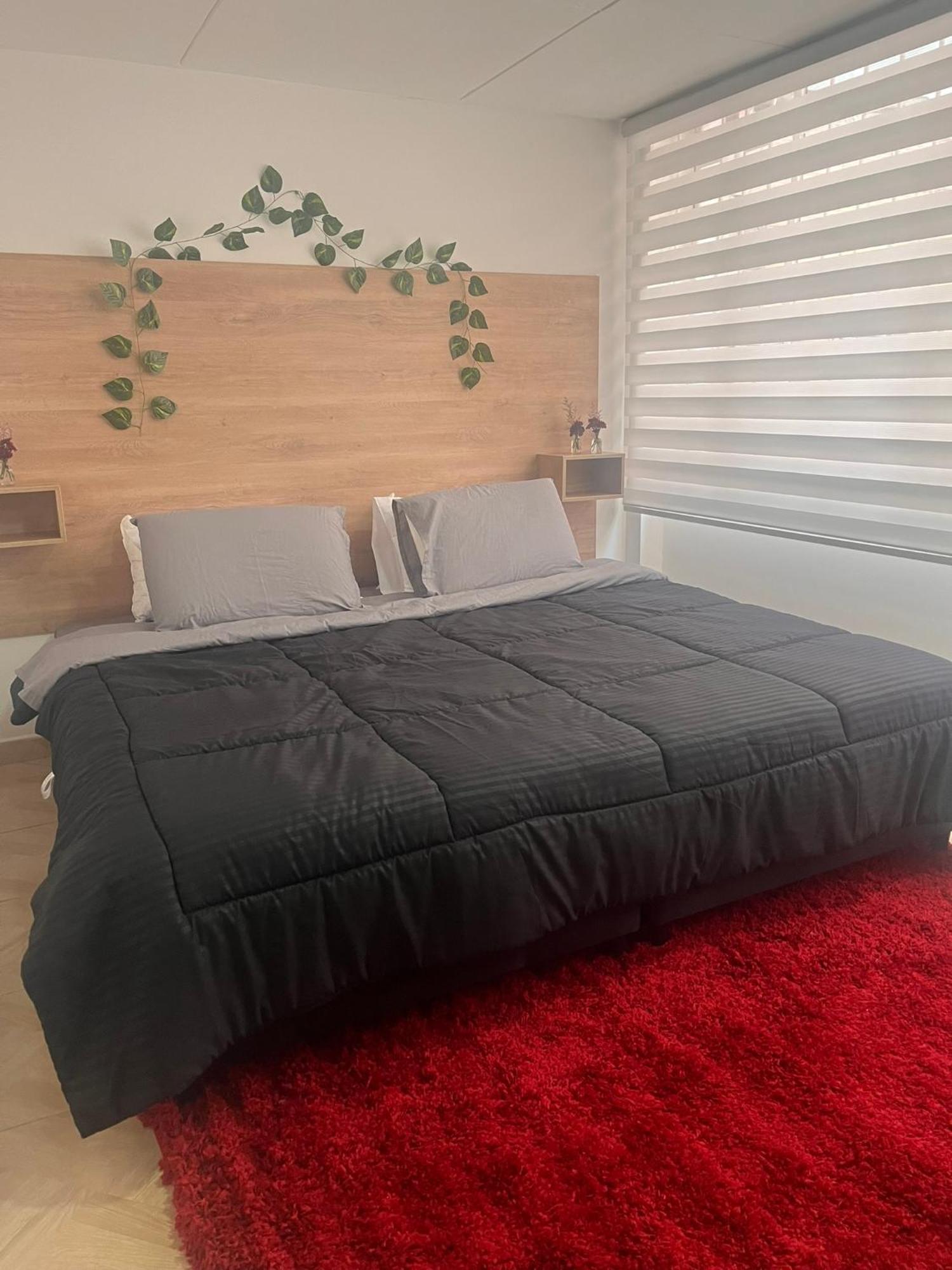 Hermoso Duplex Con Terraza Apartment