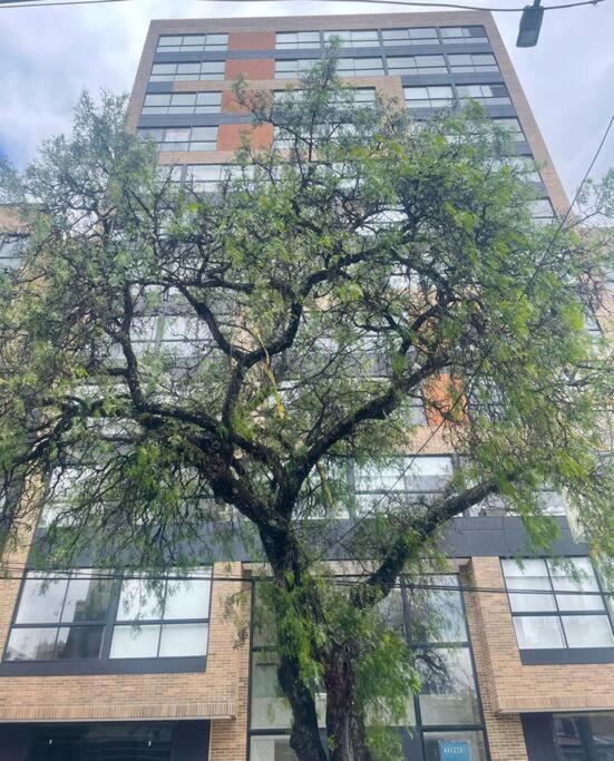 Apartment Estudio En Usaquen Cerca A La Fundacion Santa Fe ! *