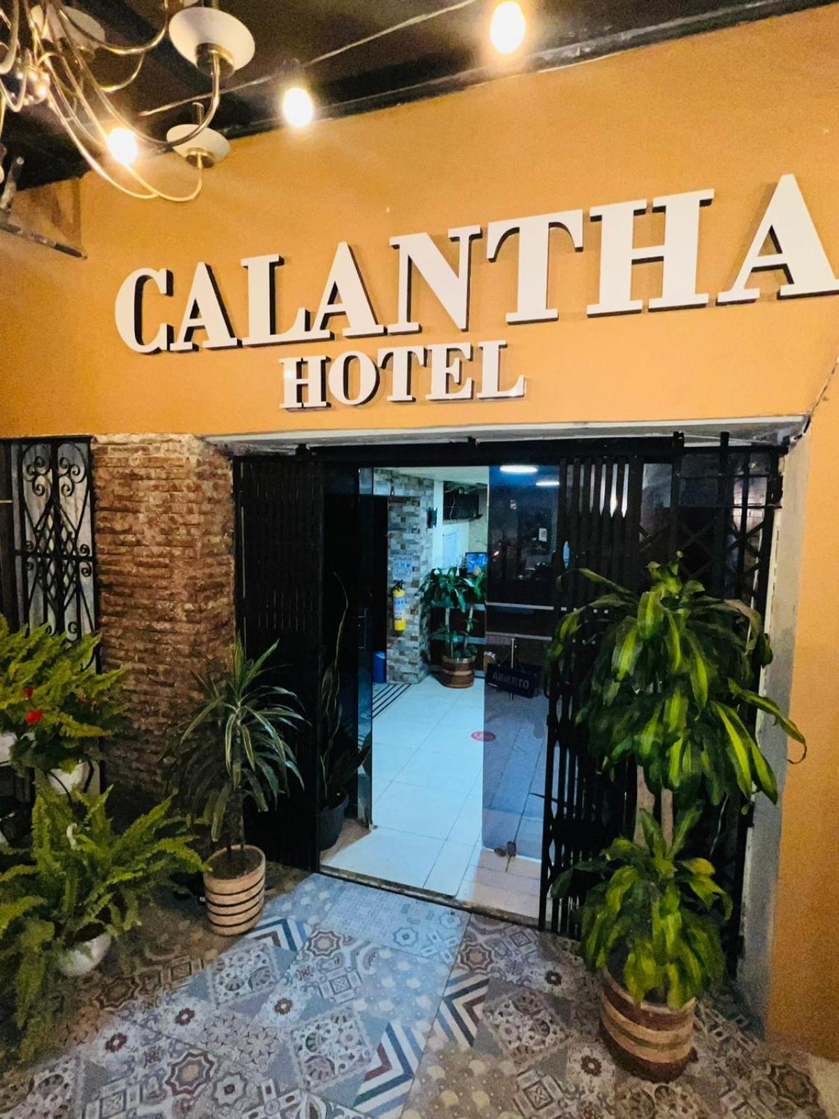 Calantha Bogota