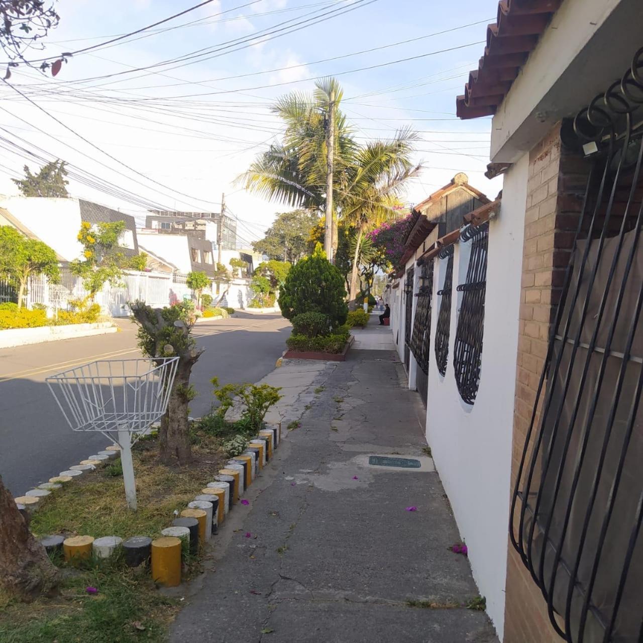 Modelia 265 M2 Cerca De Todo *