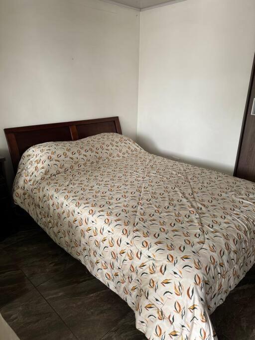 Apartamento Calido Apartamento *