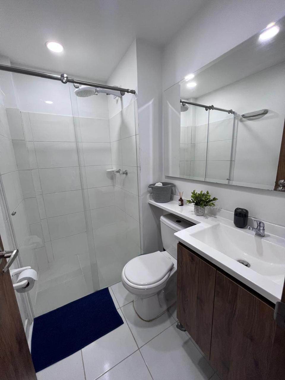 Apartment Espectacular Loft Normandia