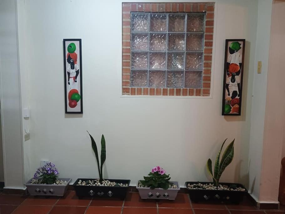 Apartamento Amplio Y Acogedor En Usaquen