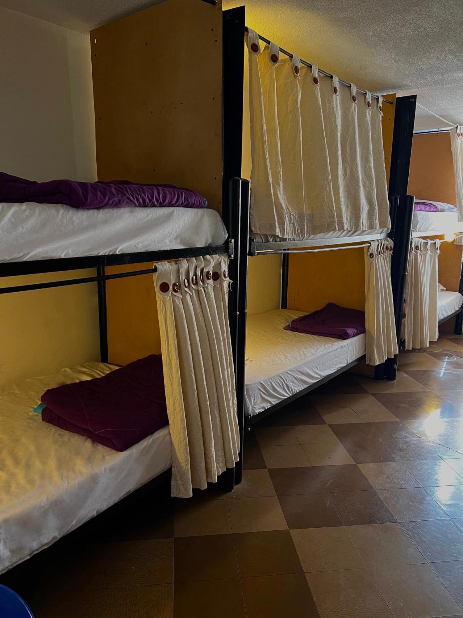 Backpackers - La Terraza Hostel