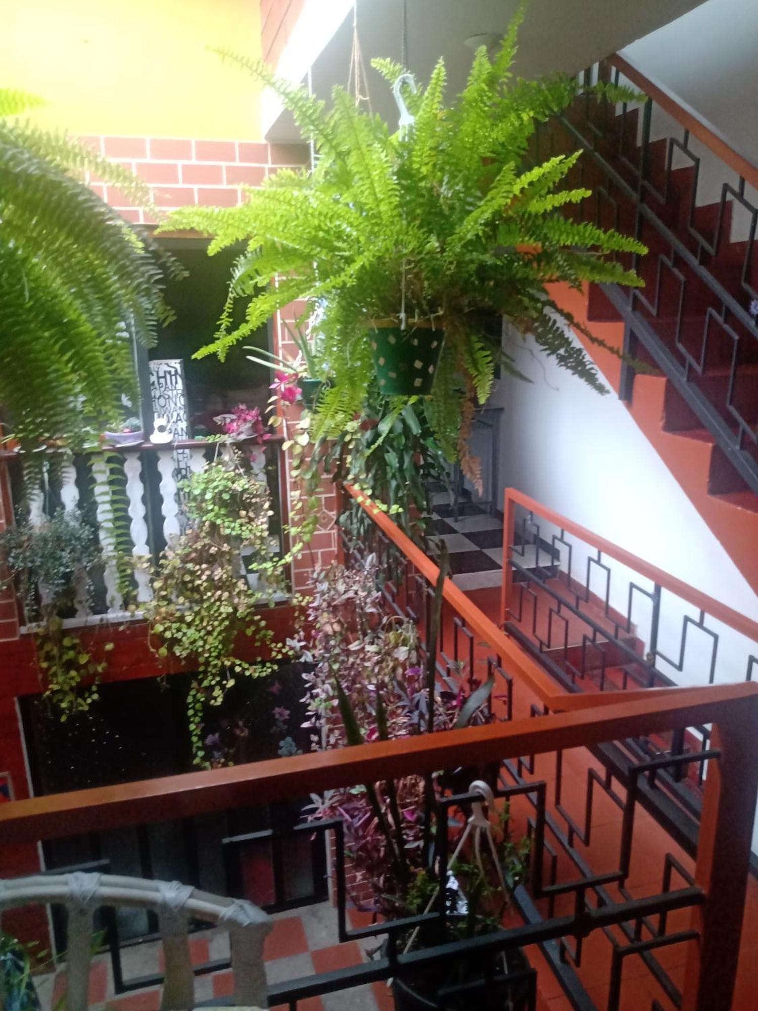 Casa De Familia Zuniga Homestay