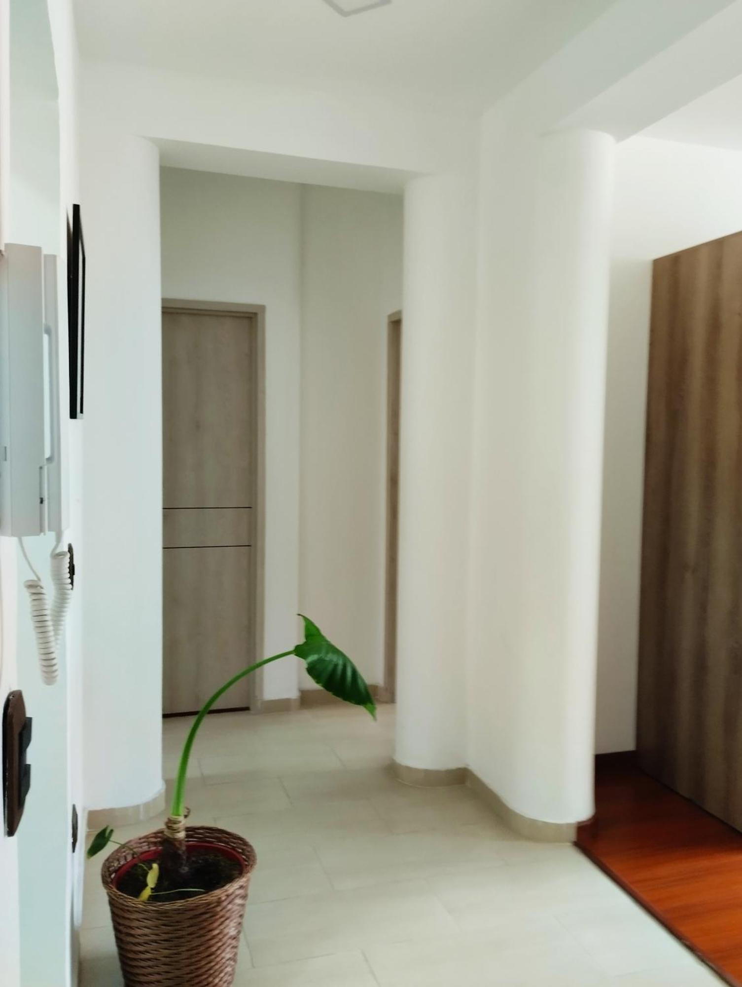 Apartment 401
