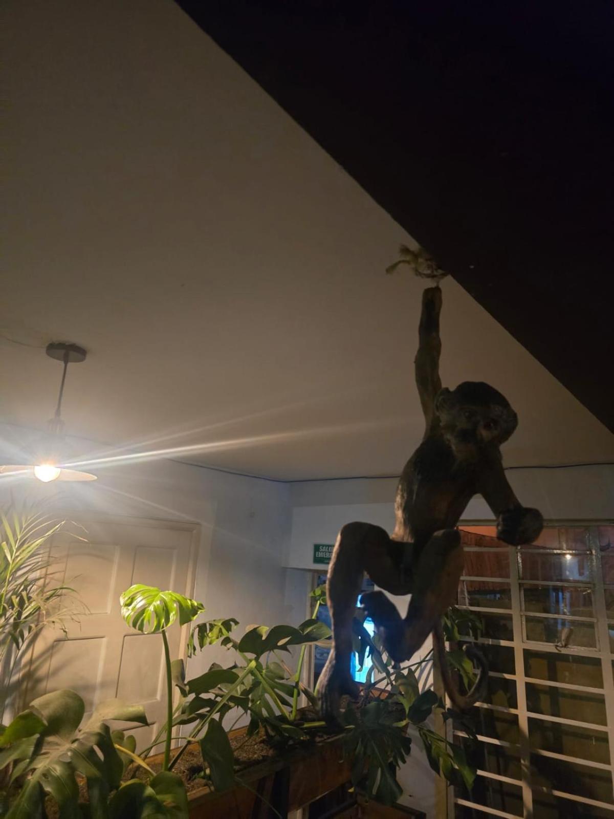 Hostel Portelli Hostal-zona G Para Extranjeros
