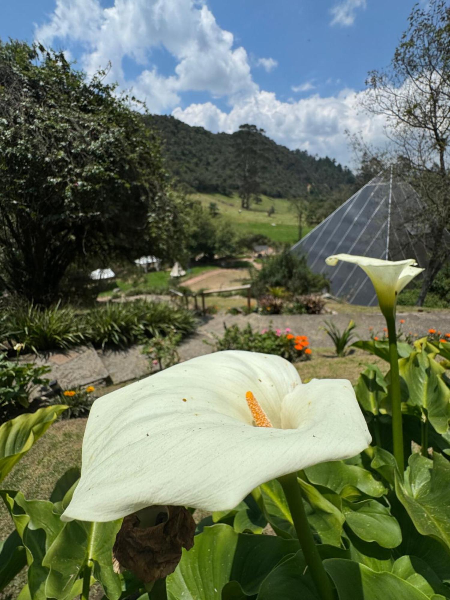 Hotel Termales Wellness 4*