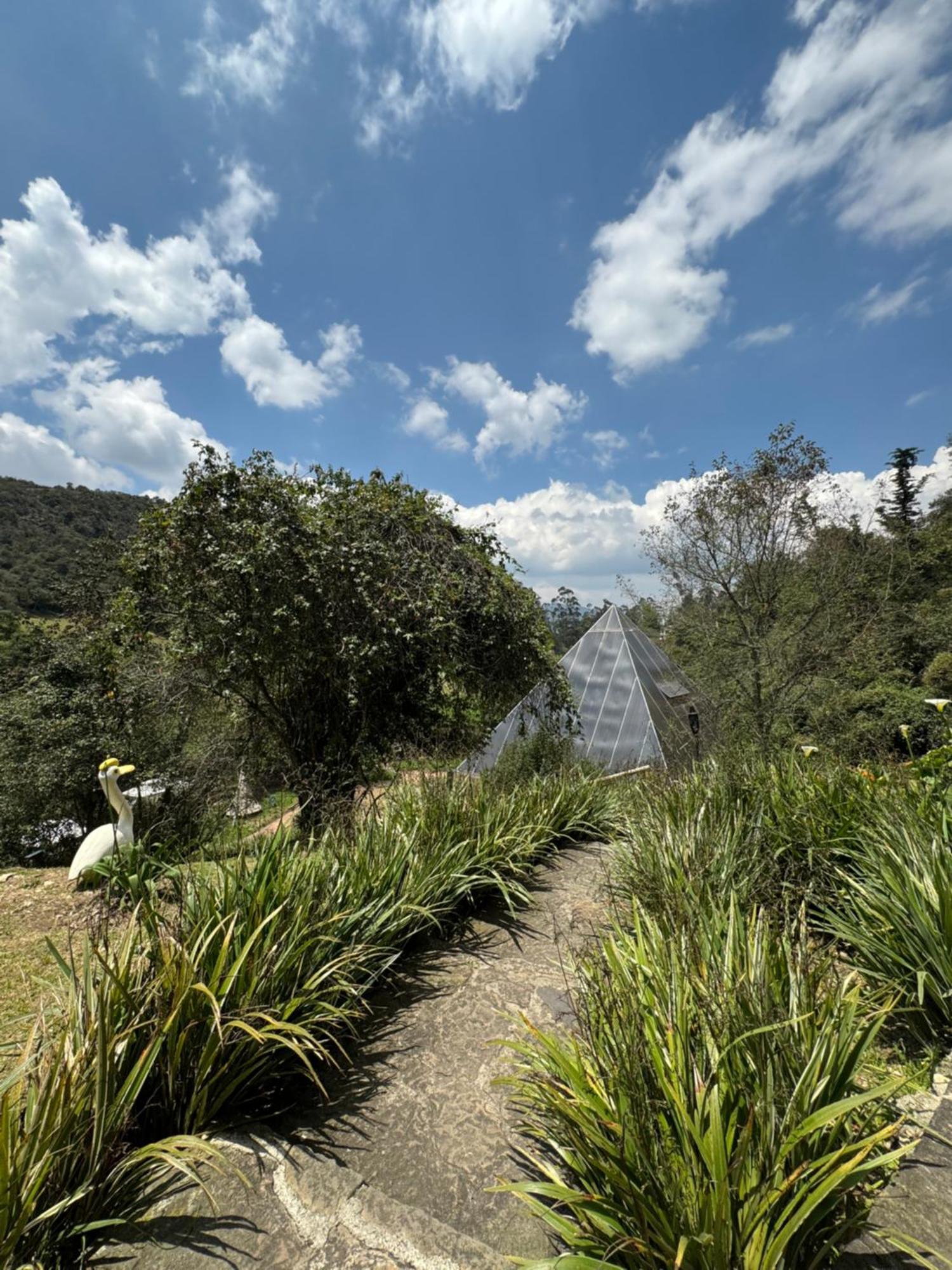 Hotel Termales Wellness