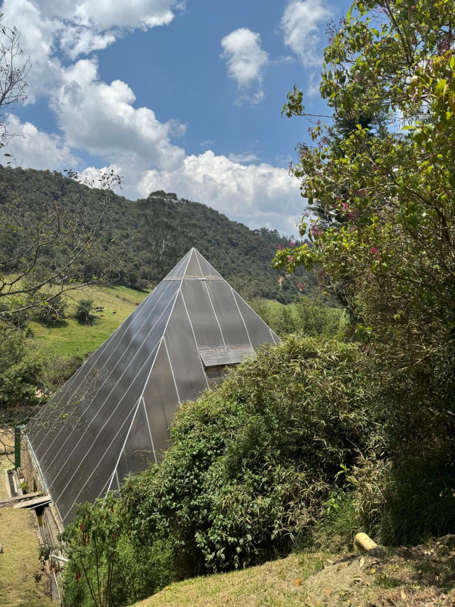 Hotel Termales Wellness 4*