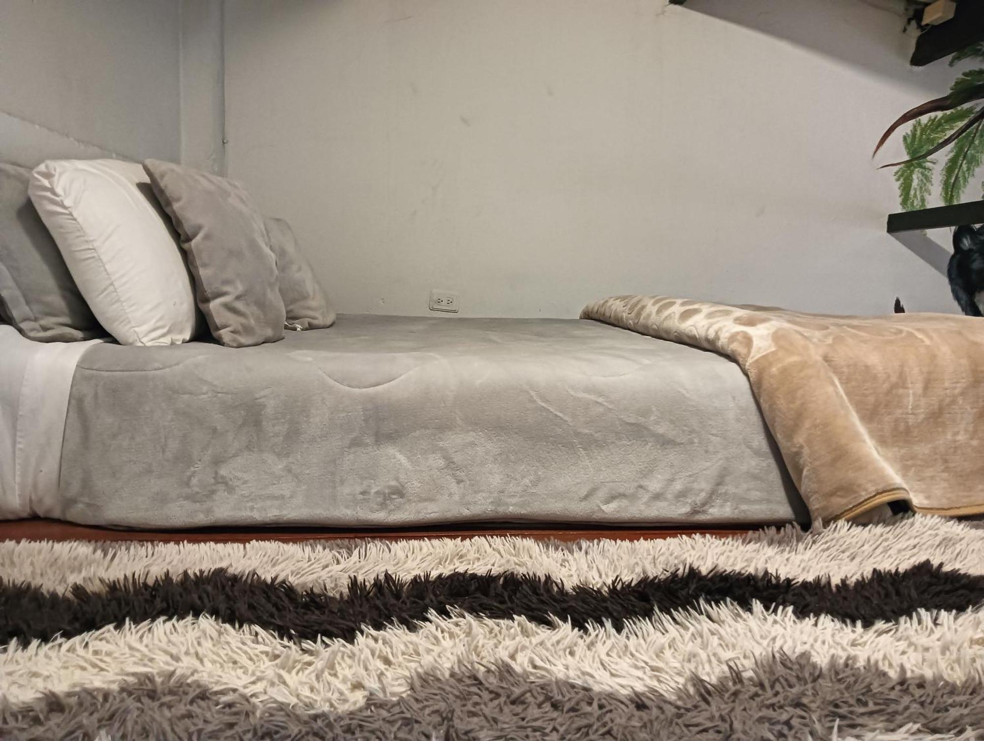 Guest house Casa Samor La Candelaria *