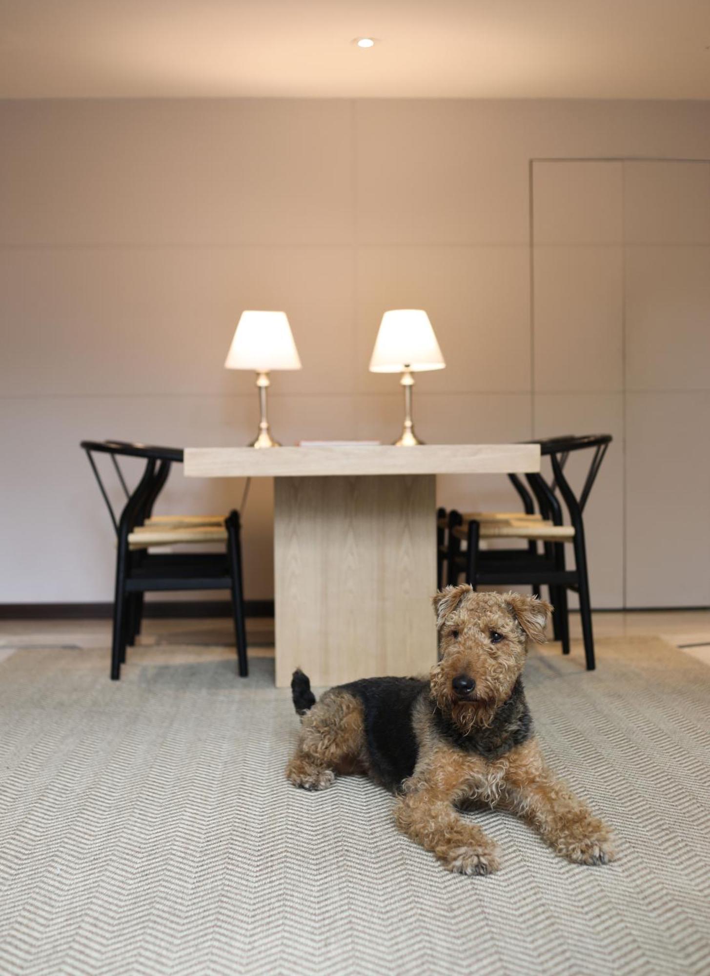 Apartment Ap303 Zona G By Letoh