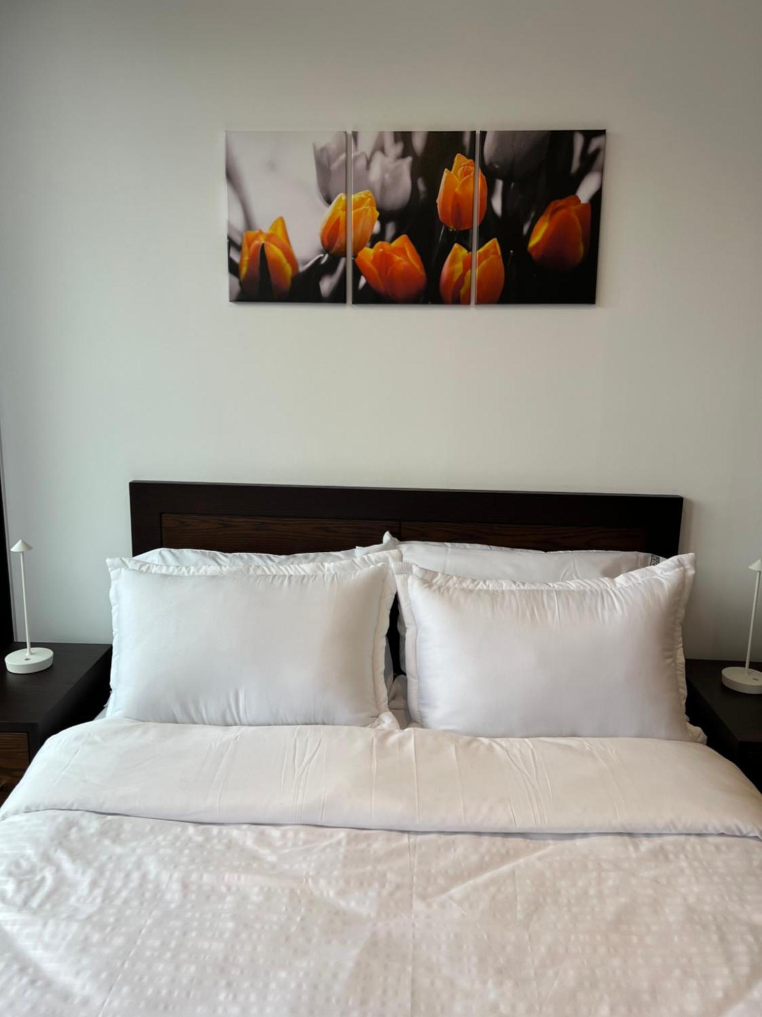 Apartment Loft Moderno Ideal 0-25