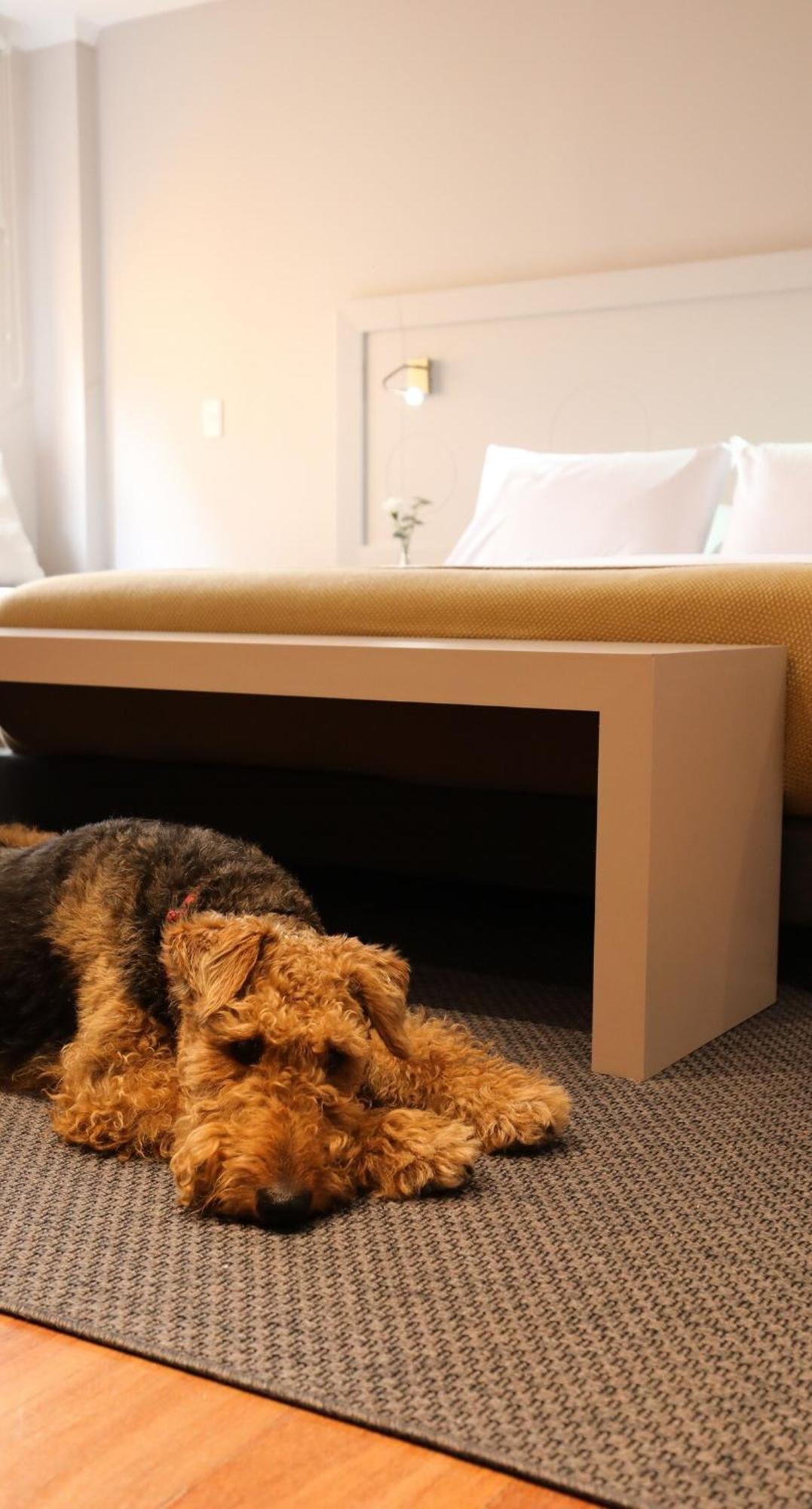 Apartment Stylish Loft Ideal For Couples & Work 105 Bogota