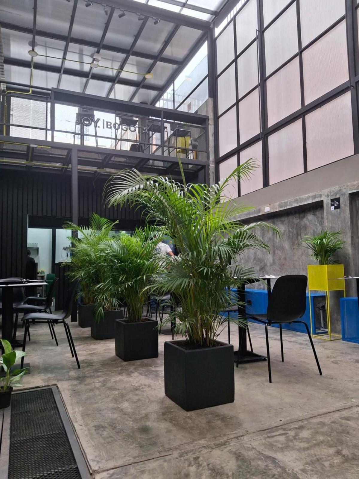 Hotel Joy Cll 85 Bogotá