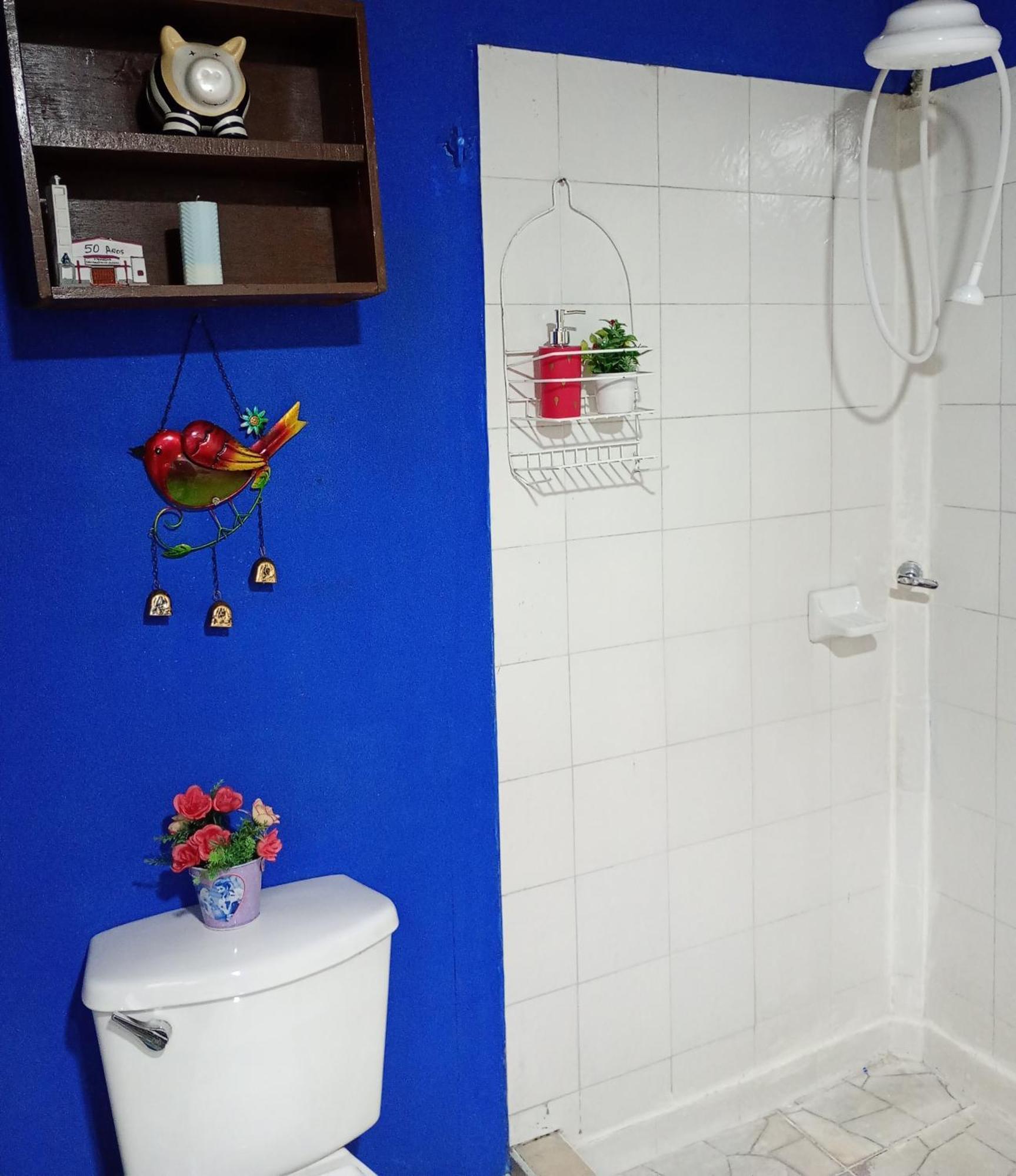 Oasis Urbano Apartment