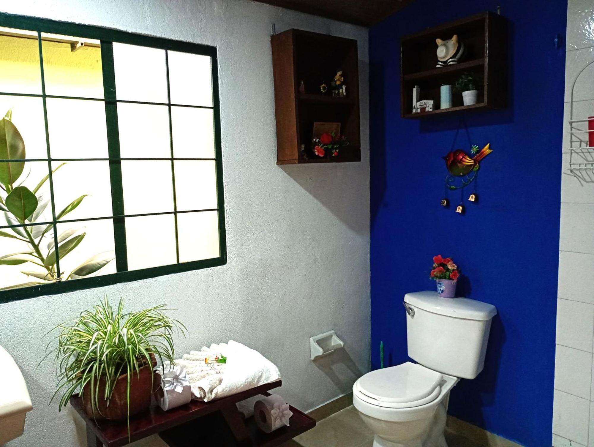 Apartment Oasis Urbano *