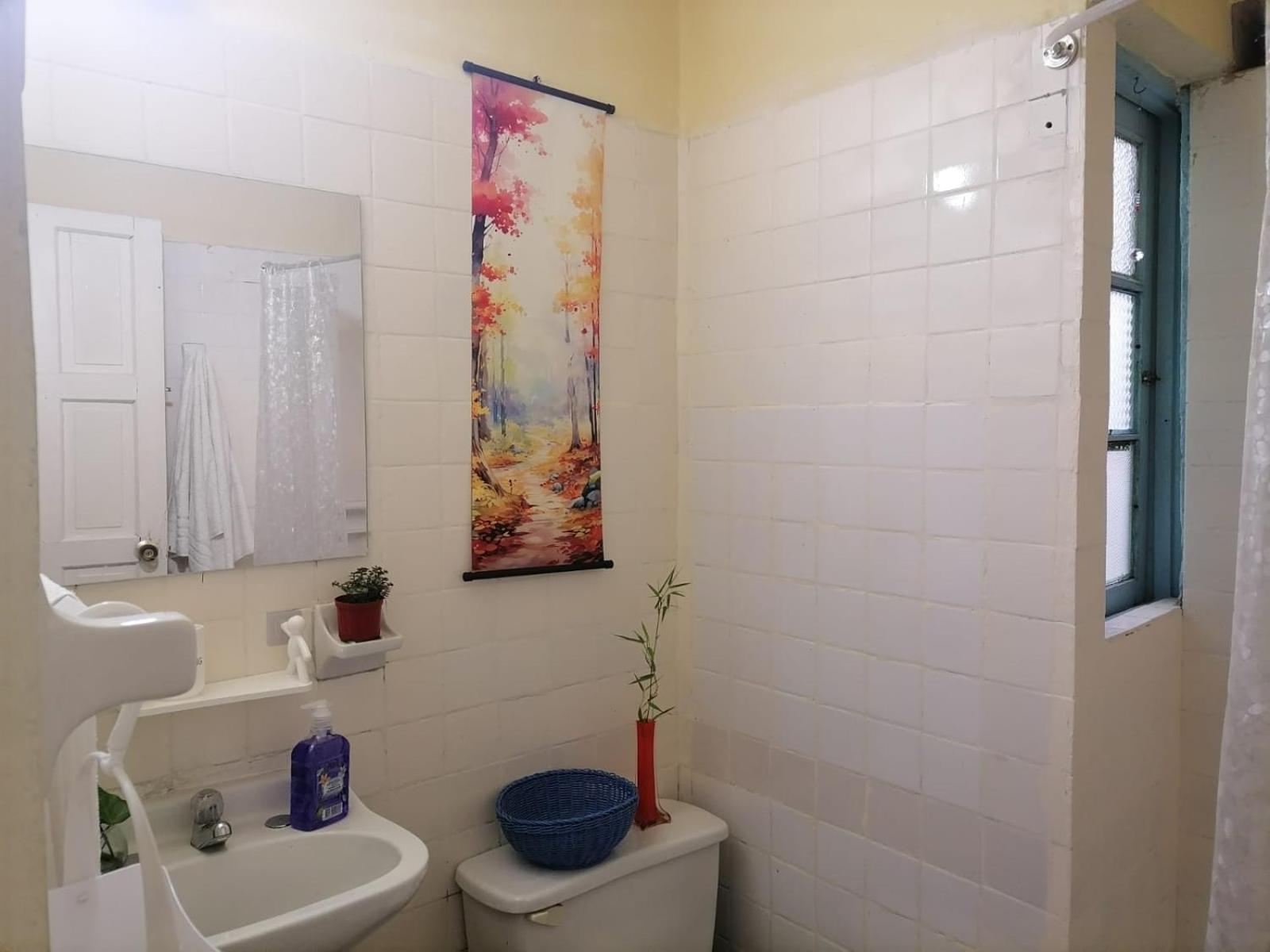 Homestay Amplia Y Acogedora En *