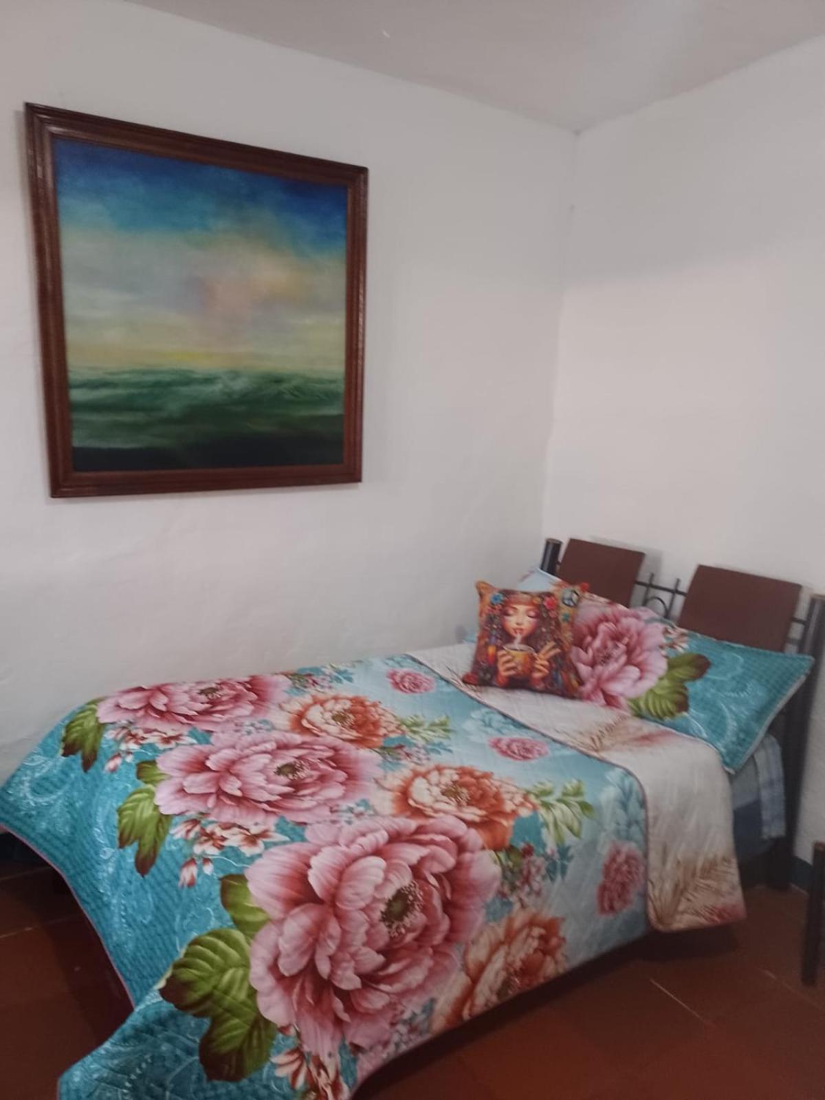 La Mejor Vista De Homestay *