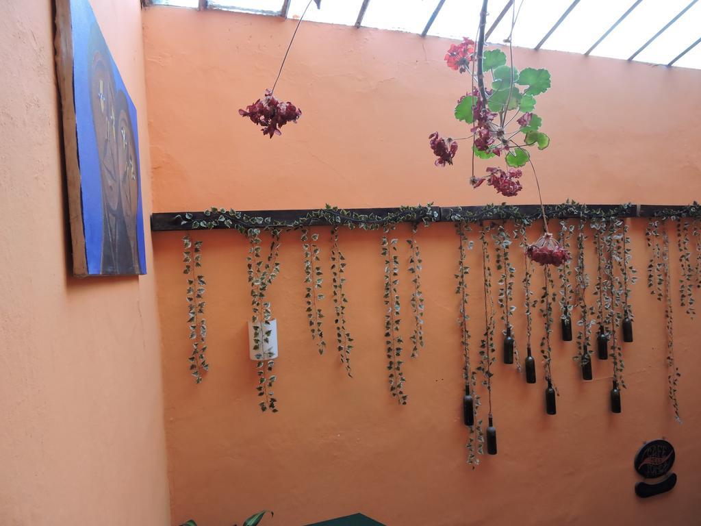 Hostal Casa Quevedo *