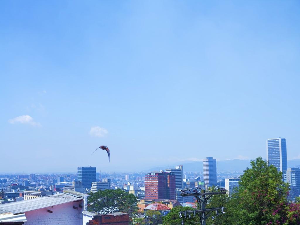 Bo Go & Rooftop * Bogota