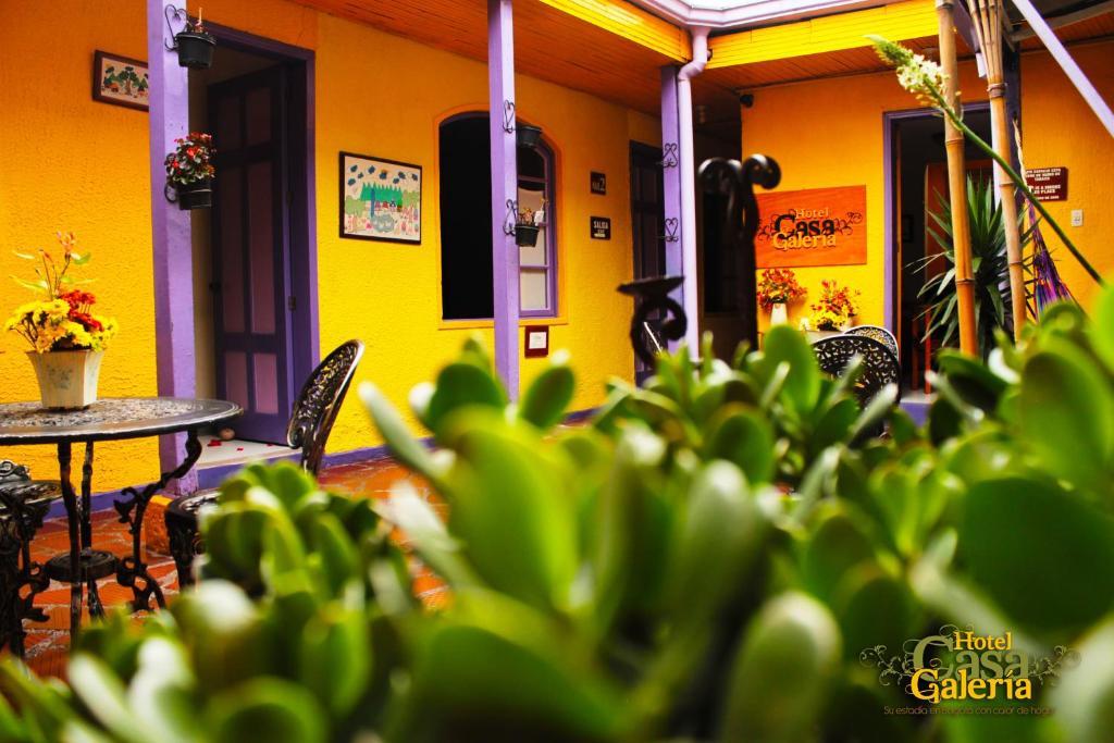 Casa Galeria