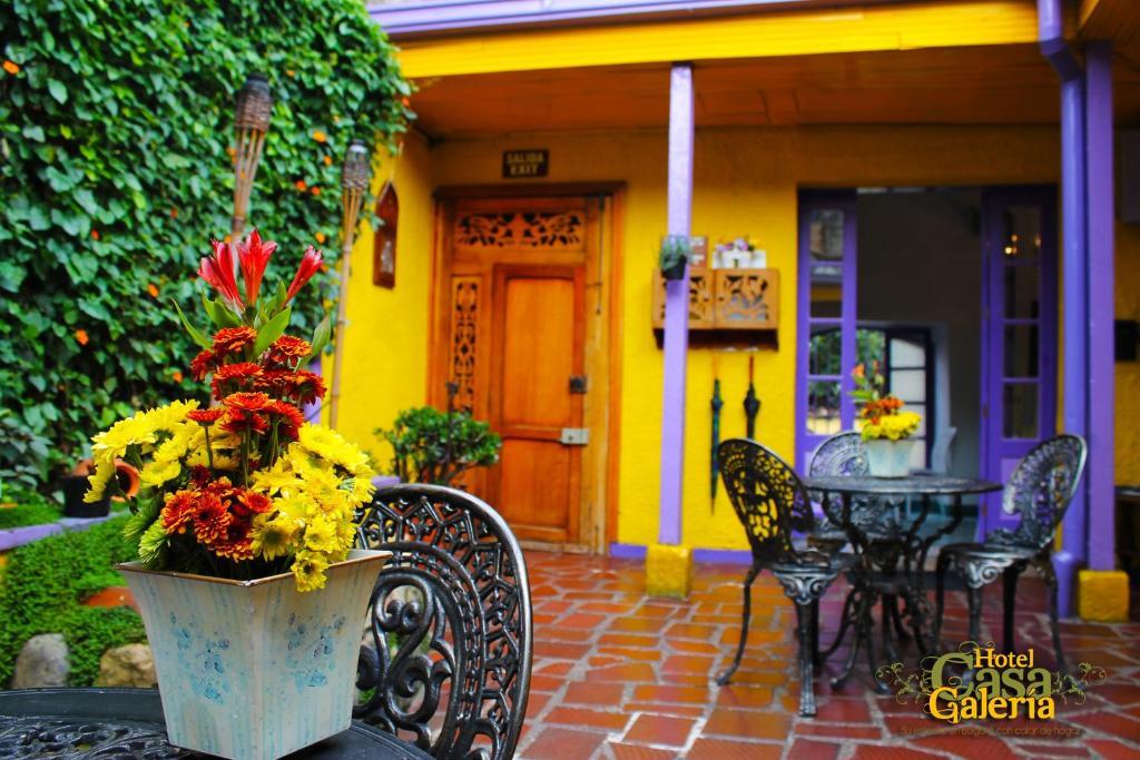 Casa Galeria