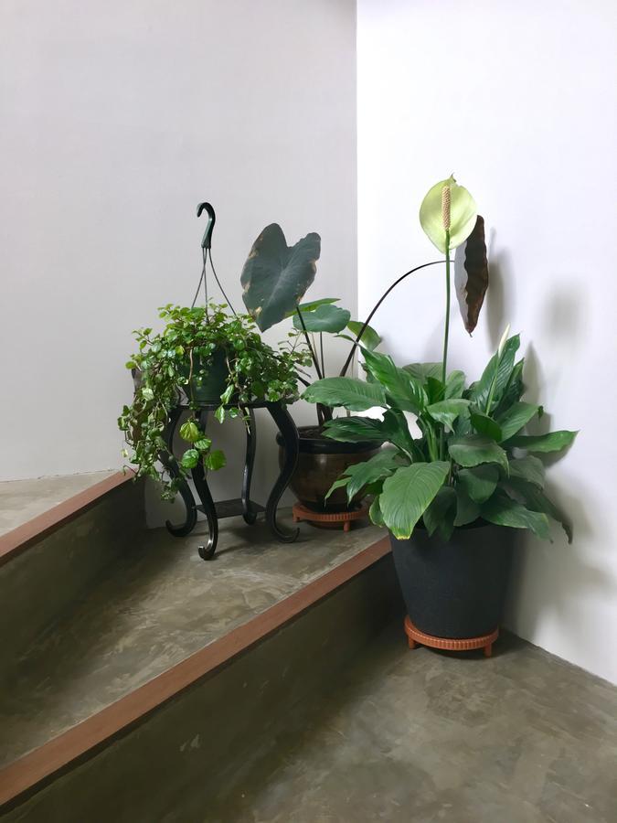 Casa Lelyte Bed & Breakfast Bogota