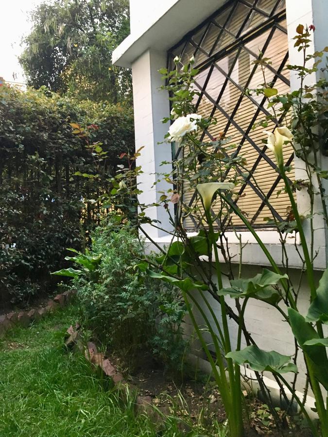 House For Groups - The Project * Bogota
