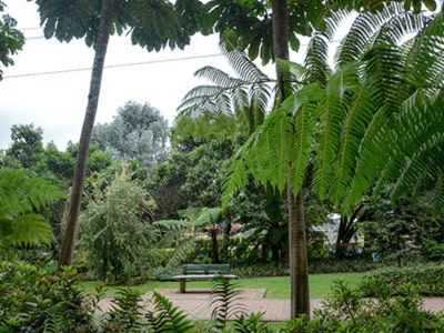 Morrison Usaquen 5* Bogota
