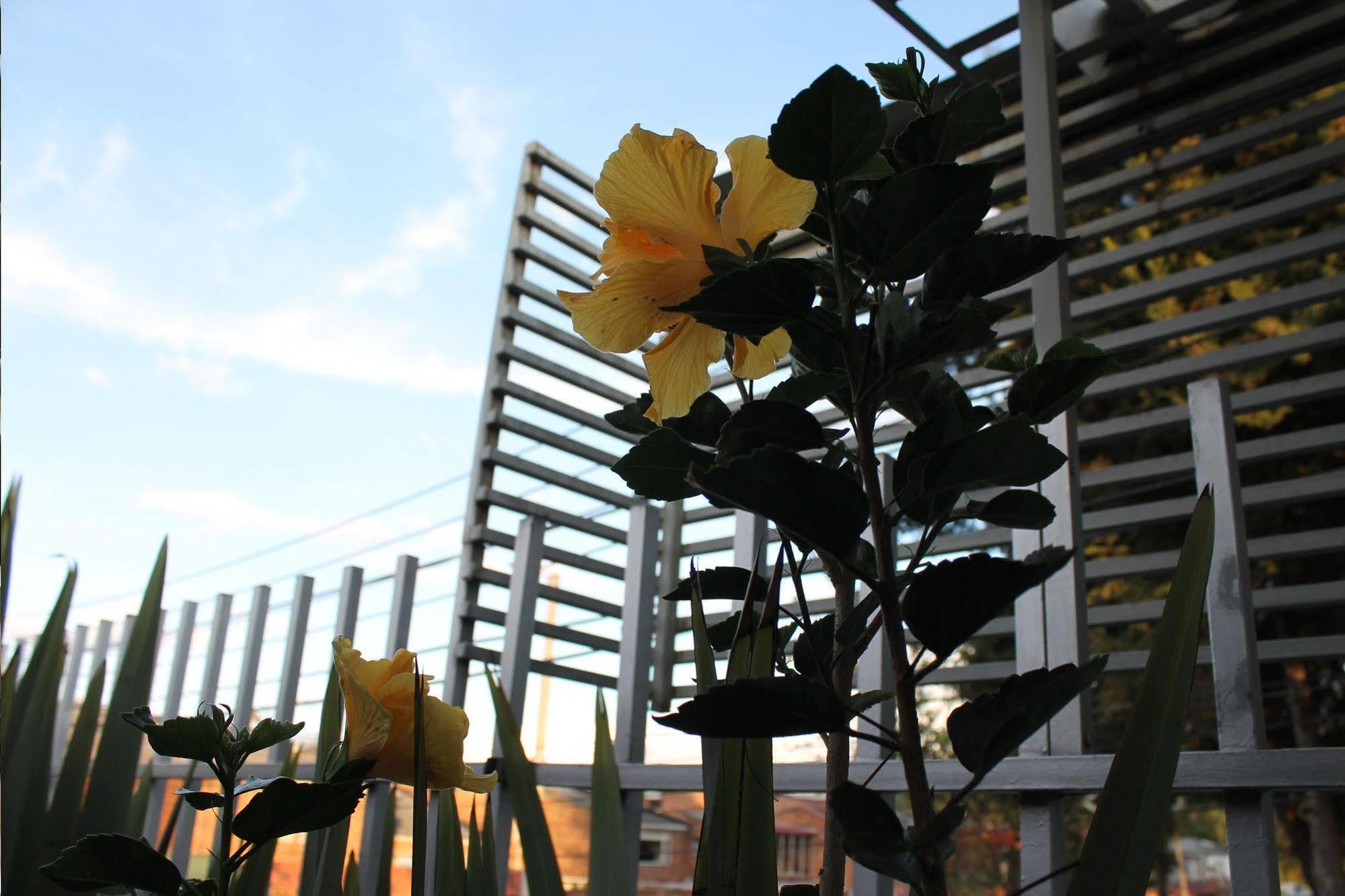 Casa Amelia Hotel Bogota