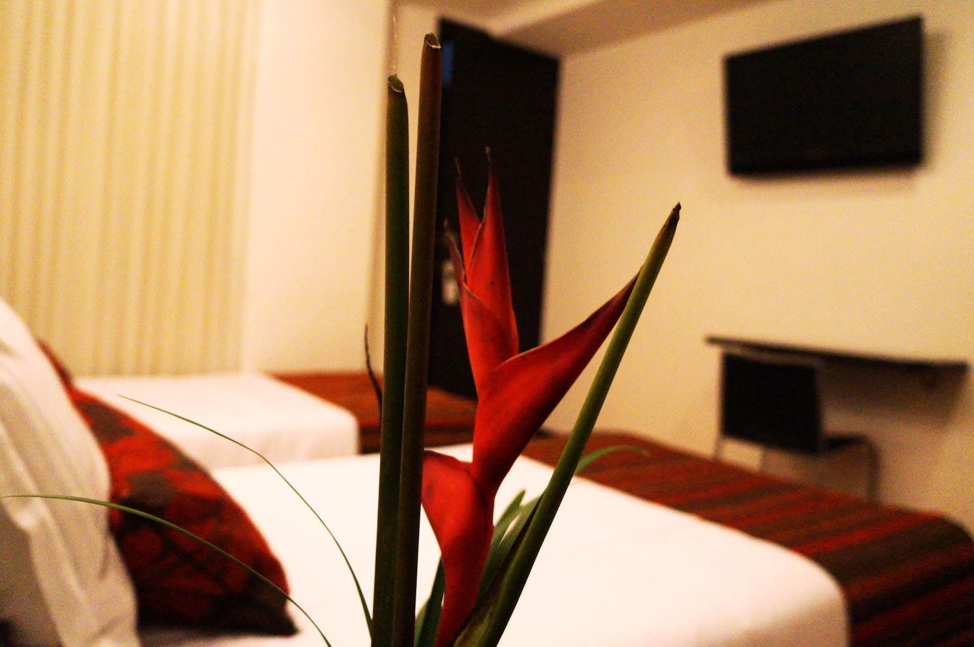 Airport Travel 3* Bogota