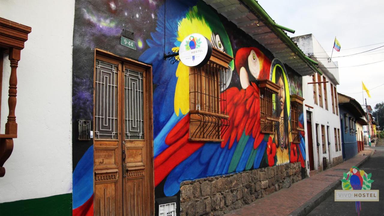 Hostel Vivo