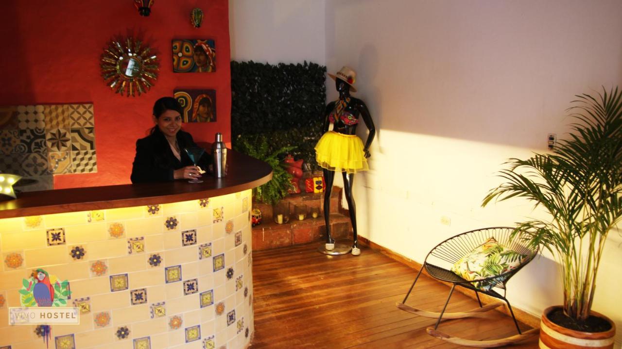 Vivo Hostel