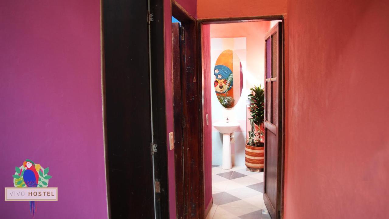Vivo Hostel