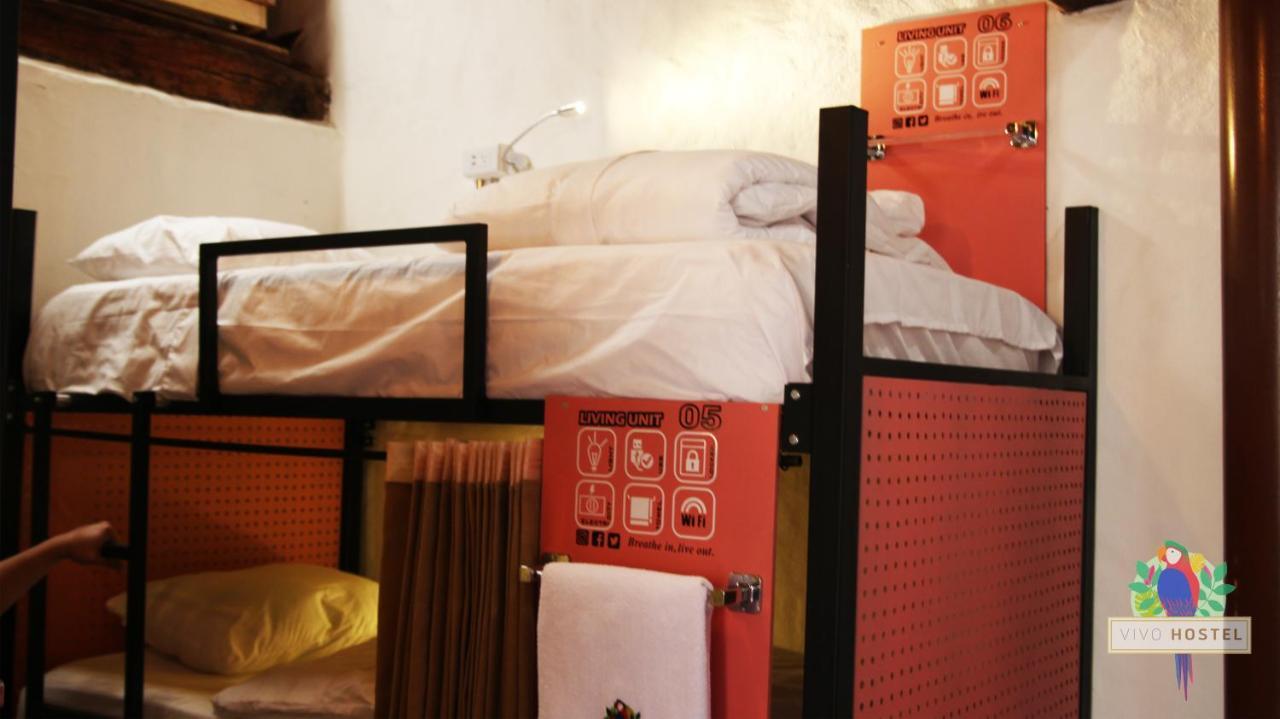 Vivo Hostel *